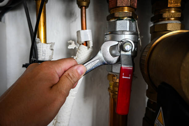 Best Plumbing Services Near Me  in Rochester, WI